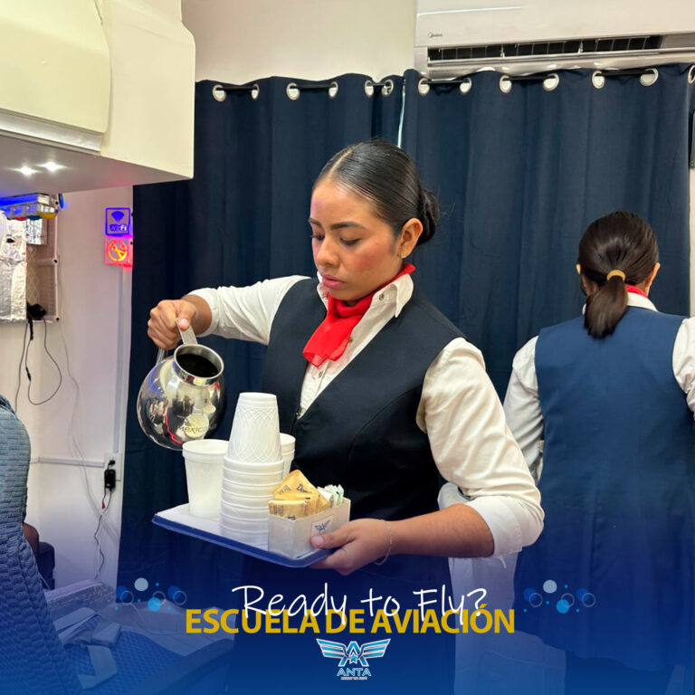 carrera de sobrecargo